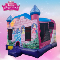 Disney Princess Bounce & Slide Combo