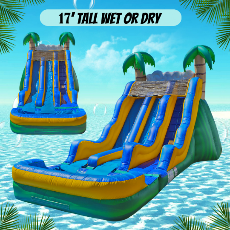 Tropical Dual Slide & Pool